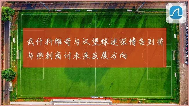 武什科维奇与汉堡球迷深情告别将与热刺商讨未来发展方向